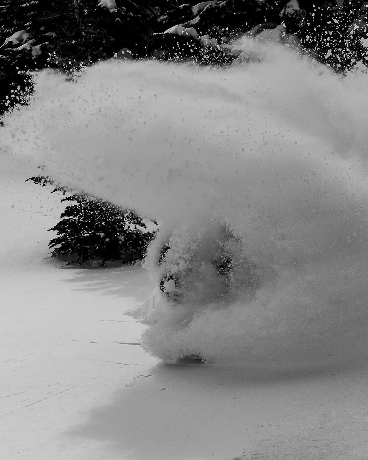 Men's Ultralight Project X – Jones Snowboards US