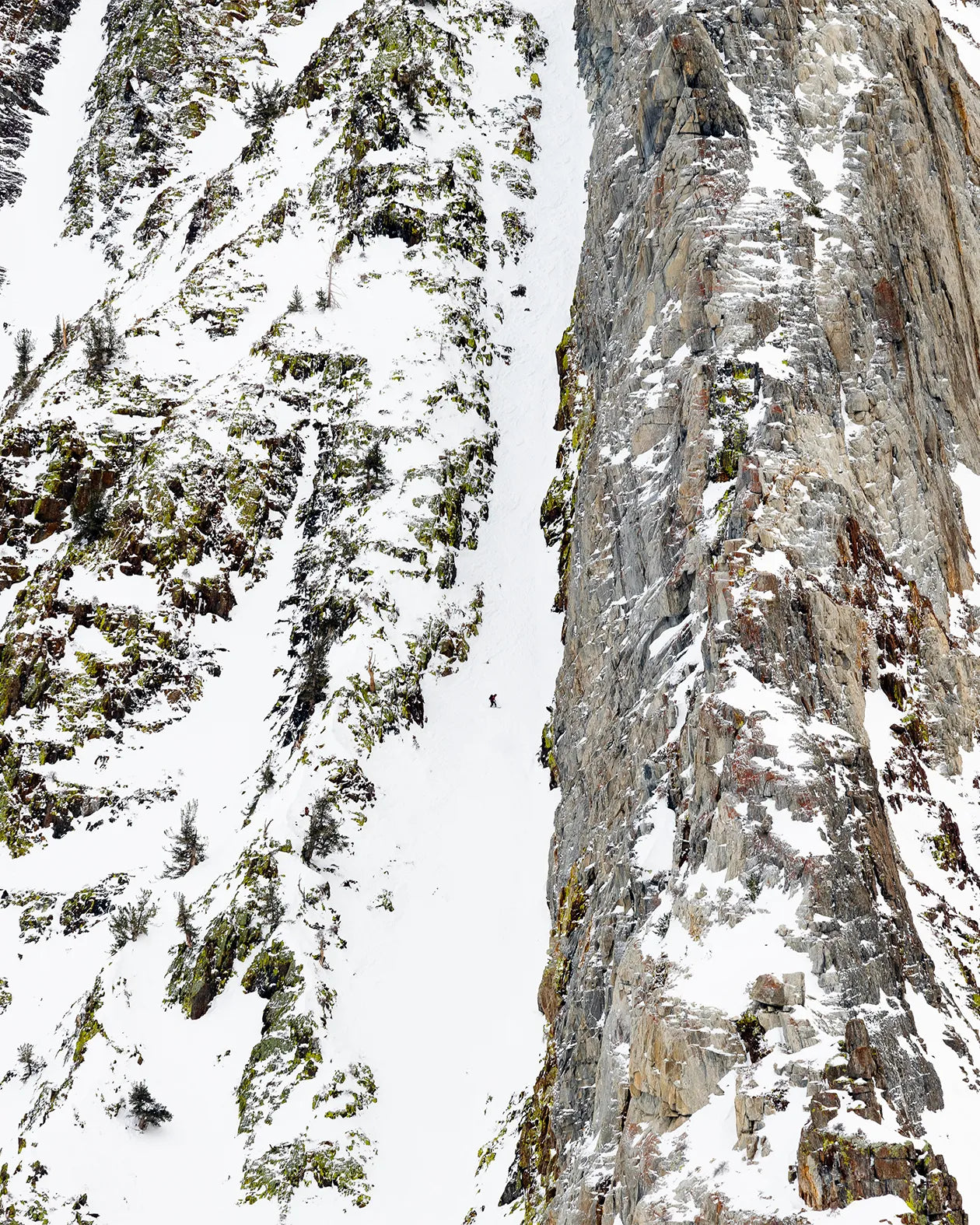 Men's Ultralight Solution Splitboard
