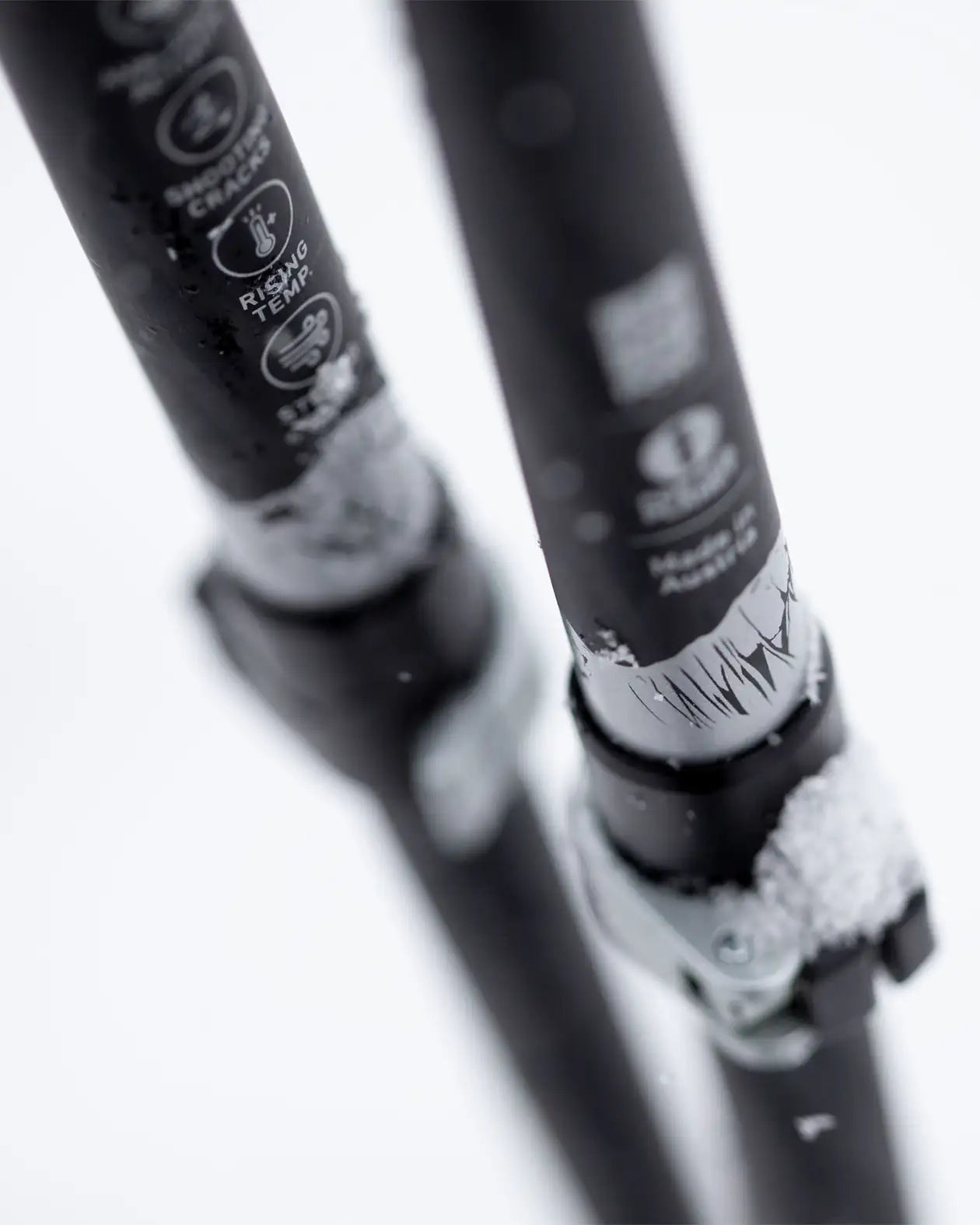 Talon Pro Splitboard Poles