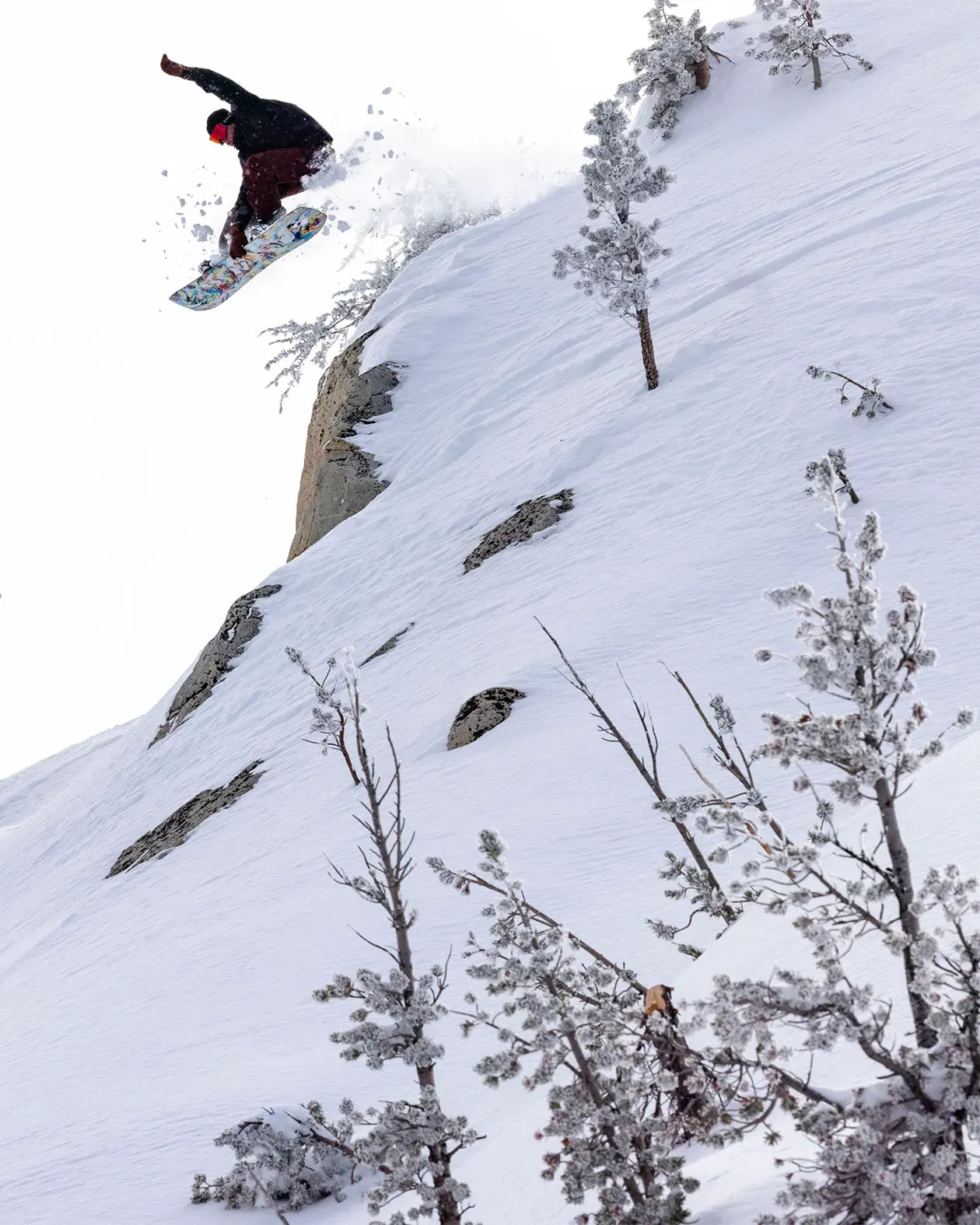 Mind Expander Twin Snowboard | Jones Mind Expander Twin Snowboard | Jones