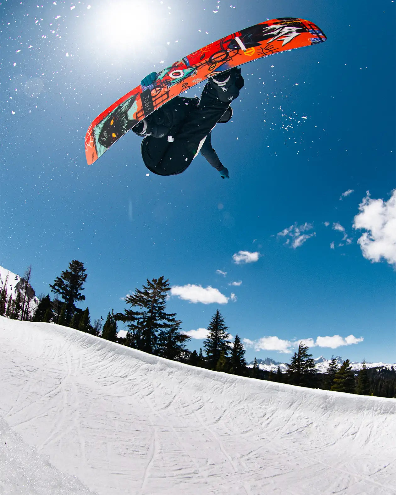 Men's Rally Cat Snowboard