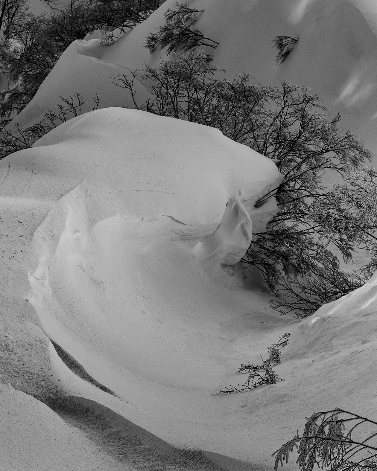 Ruiki Masuda Signature Series Stratos Ruiki Masuda Signature Series Stratos Jones Snowboards High Performance