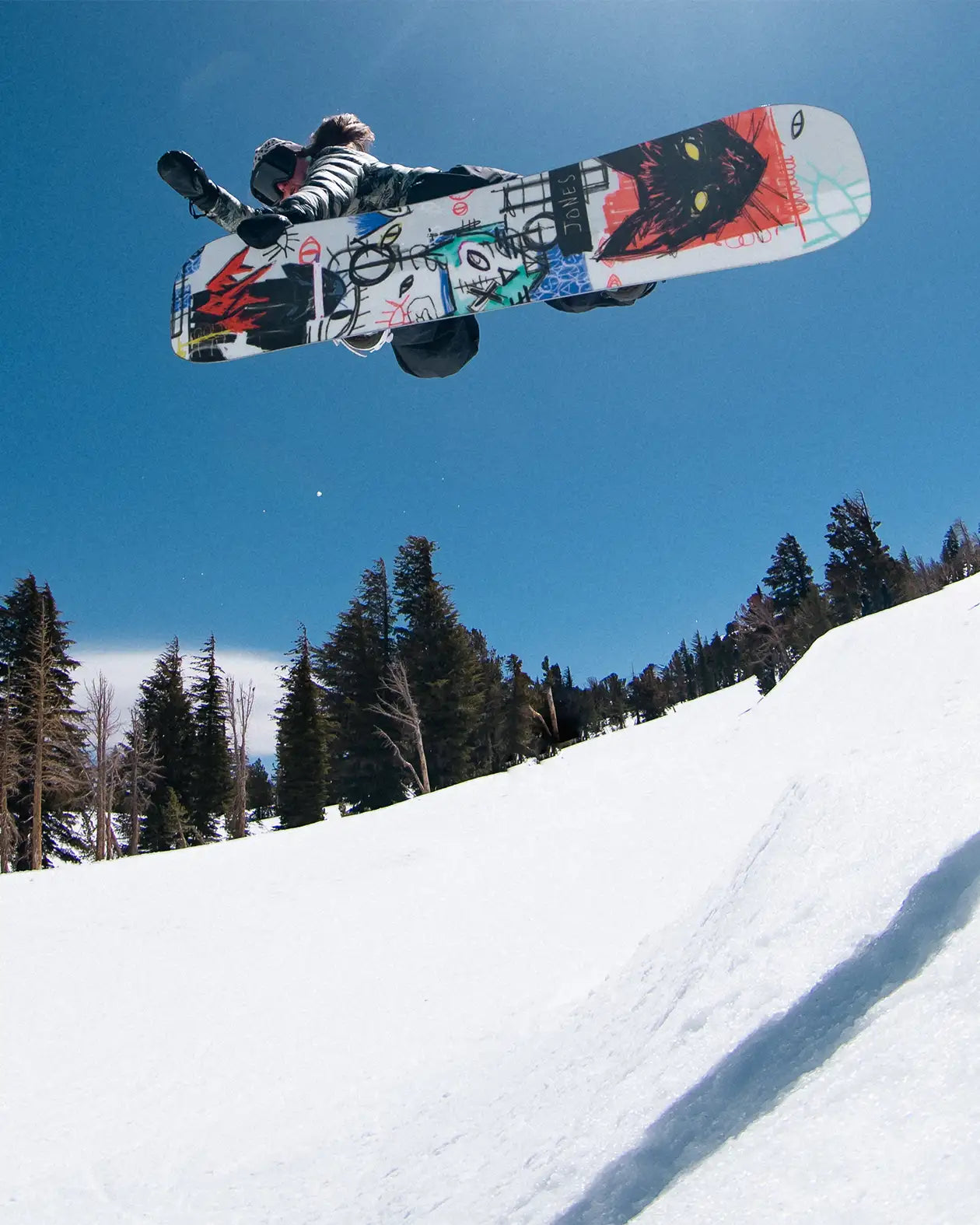 Jones Rally Cat Snowboard - Thumbnail 3