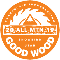 Ultra Mountain Twin Snowboard 2023's award